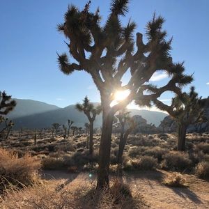 Meet your Posher, Visall